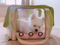 Macarons Transparent Kitty Space Cabin Pets Out Bath Single Shoulder Bag Pooch Portable Traveling Carry-on Bag