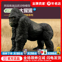 UK CollectA I you he Gorilla King Kong animal model cognitive toy ornaments 88899
