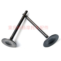 Applicable to Zongshen CB250 water-cooled two-valve Hailing M7 CQR R8 off-road motorcycle water-cooled engine valve