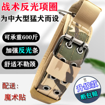 Dog neckline with large sharp dog reflective neck ring sturdy and adjustable tethered dog neck ring Kim Maud Shepherd dog neck