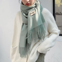 New imitation cashmere scarf 2021 scarf womens autumn and winter Joker Korean long warm shawl solid color scarf women