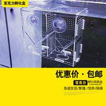 Fry breeding box Guppies fish production incubator tank isolation box juvenile fish fish fighting box isolation box large