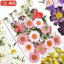Petal dried flower makeup fairy face applique Daisy Lin small house makeup artist Mori photo corner eye face manicure