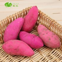 Simulation Sweet Potato Sweet Potato Sweet Potato Sweet potato foam model high imitation fake vegetable fruit childrens toy decoration teaching aids