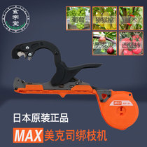 Japan imported MAX mecs binding machine grape kiwi fruit tomato eggplant cucumber binding machine binding machine
