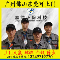 Full Guangzhou professional door-to-door rat-killing cockroach kills cockroach and kills rat-killing service except for four evils