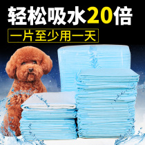 Pet cat and dog rabbit urine non-wet deodorization and decontamination thickens to increase water absorption pet diaper supplies