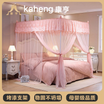 2019 new net red floor mosquito net home 1 2 m 2 m 1 8m1 5m bed encryption thickened princess wind veins account