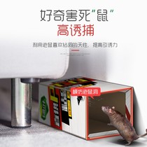 10 pieces of Mouse stickers strong mouse board rodent rodenticizer clip catch big mouse cage glue dip rat home