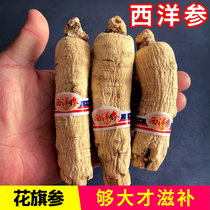 American ginseng extra-large pruning pruning of Changbai Mountain whole flower flag whole root slicing ground powder