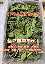 21 years of drying dandelion clear heat to fire anti-inflammatory grass rabbit rabbit Dutch pig ChinChin health pasture 500g