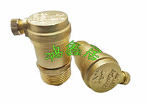 Reg 102 all copper automatic exhaust valve heating exhaust valve pipe pipe water pipe air valve 4 minutes 6 minutes 1 inch