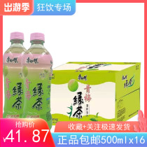 Master Kong new flavor tea polyphenol Green plum Green Tea Sweet and sour Gan Yun Tea drink 500mlx16 bottles Multi-province