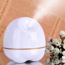 Steamer hot spray open pores detoxification cold and hot double spray steaming face instrument household hot cold spray small portable beauty instrument