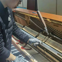 Ten years of physical store Shanghai piano tuner tuning professional tuner Old piano repair door-to-door service