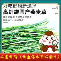 Bull Pamper Wort 500g domestically made sundry oatmeal Wheat Straw Hay Rabbit Dutch Pig Dragon Cat Grass Section Green Oatgrass