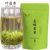 Tea Green Tea Wufeng Gongya Maojian 2021 Ming Qiang new tea 500g bag Yichang flower Alpine tea fragrance