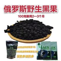 Russian small black fruit 100 natural controlled sugar birch tree black fruit effect good plant fruit