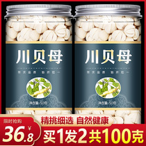 Buy 1 send 1 positive selection of Sichuan bay without sulphur Sichuan Sichuan Sichuan fritillary 100g non-500g Sichuan bay powder wild special grade