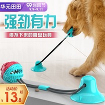 Dog toys bite-resistant puppies golden retriever puppies ball corgi dog pet supplies large dog molars and dull artifact