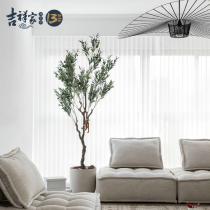 Auspicious home dream curtain electric vertical Louver Curtain Hanas curtain living room partition balcony shading vertical curtain