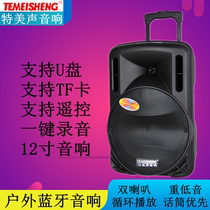 TEBUS A12-1 high power outdoor audio portable wireless microphone lever mobile square dance card speaker