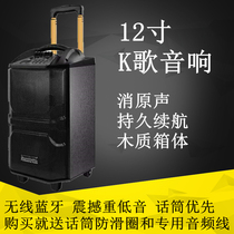 Special sound QX1229 outdoor sound mobile square dance rod wireless microphone portable Bluetooth professional speaker