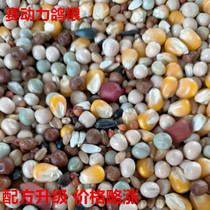 Saifei pigeon food with corn nutritional food Saifei general basic feed Carrier pigeon meat pigeon food 50 kg