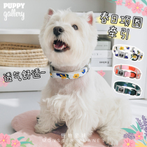 New Korea Puppy Gallery Spring Series Dog Item Circle Hauling Rope Out of the Dog neck Circle Item Circle