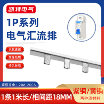 20A-100A 1P DPN1P 18 pitch 6 busbar copper brass modular socket grounding wire sink
