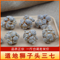Lion head super spring three seven 12 head 14 head 16 head 18 head 20 head Tianqi can substitute grinding ultra-fine three seven powder