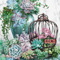 Super clear color cross stitch re drawing drawing source file succulent plant 300 300