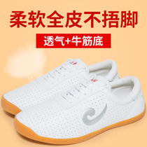 Big braid Taiji shoes mens spring and summer Taijiquan shoes practice shoes thickened cow tendons female breathable martial arts kung fu shoes