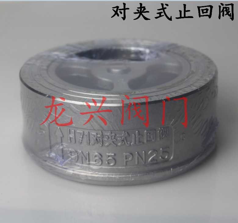 304 stainless steel check valve H71H check valve DN25 40 50 65 80