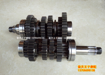 Lanbaolong BJ300GS-C BN300 Hurricane 302 spindle countershaft gear gear