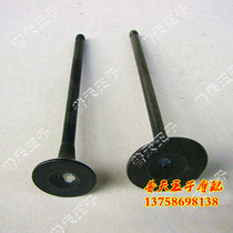 Qianjianglong QJ150-19C Lanbaolong 150-17A 26A intake and exhaust valve intake valve exhaust valve