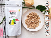 58 My rat hamster Chinchilla rabbit health SANKO product high lactic acid bacteria granules 5g