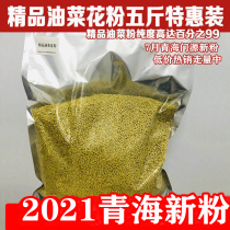 2021 fresh Qinghai rape pollen five catties special edible boutique bee pollen natural