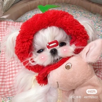 South Korea imported pet bb broken wool clip hat Apple Pineapple photo concave shape marzis Yorkshire