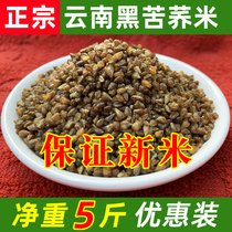 Yunnan black bitter buckwheat rice 2500g terroit black bitter buckwheat rice coarse grain 5 grain cereals germ New cargo buckwheat rice