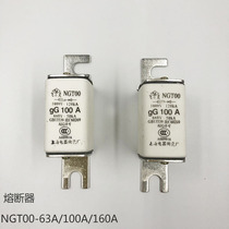Shanghai Electric Ceramics Factory NGT00 aR 63A 100A 125A 160A Flying Fast Fuse