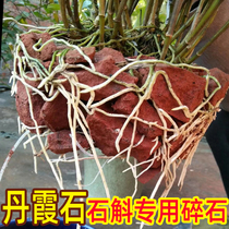 Chishui Danxia Stone planting Dendrobium Nobile special absorbent strong non-regular gravel head iron matrix