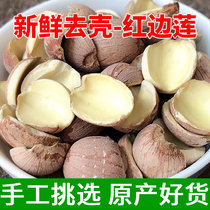 Hua Lotus Lotus lotus seed half coreless red lotus seed large open edge to core red skin 500g Xiangtan Xianglian dry goods