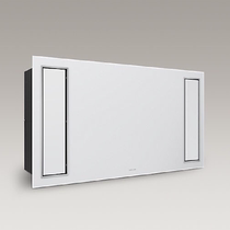 Kohler Yuba integrated ceiling toilet ceiling embedded multi-function bath bathroom home via clean heating machine