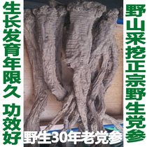 30 years of growth of Chinese herbal medicine natural pure wild Codonopsis pilosula 500 kt grade sulfur-free soil grain powder moxibustion ripening