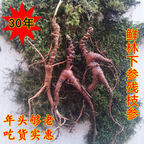 Changbai Wild Mountain fresh old-aged ginseng under the forest 2530 years pure seed cargo old pool bottom micro-residual branches flower rust edible ginseng