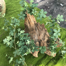 Simulation of Cai Leaves Rattan Air Conditioning Tube Decorative Cover Fake Vine Ceiling Plastic Teng Man Plant Green Leaf