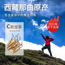 (Pre-sale for 15 days)Yixian 21-year-old new Cordyceps Sinensis Type C Tibet Naqu Cordyceps Dry Tea 20 5g