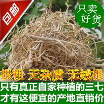 Yunnan specialty Sanqi root Mao Wenshan large fine strip roots Premium Tianqi head whisker root big root Middle root hair root 500g