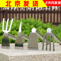 Thickened Stainless Steel Garden Art Tools Suit of flower Vegetable Shovel Hoe Rake Iron shovel Flowers Little Potted Multimeat Plant Pine Soil